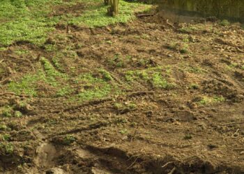 Internationell humanitär rätt (IHL)